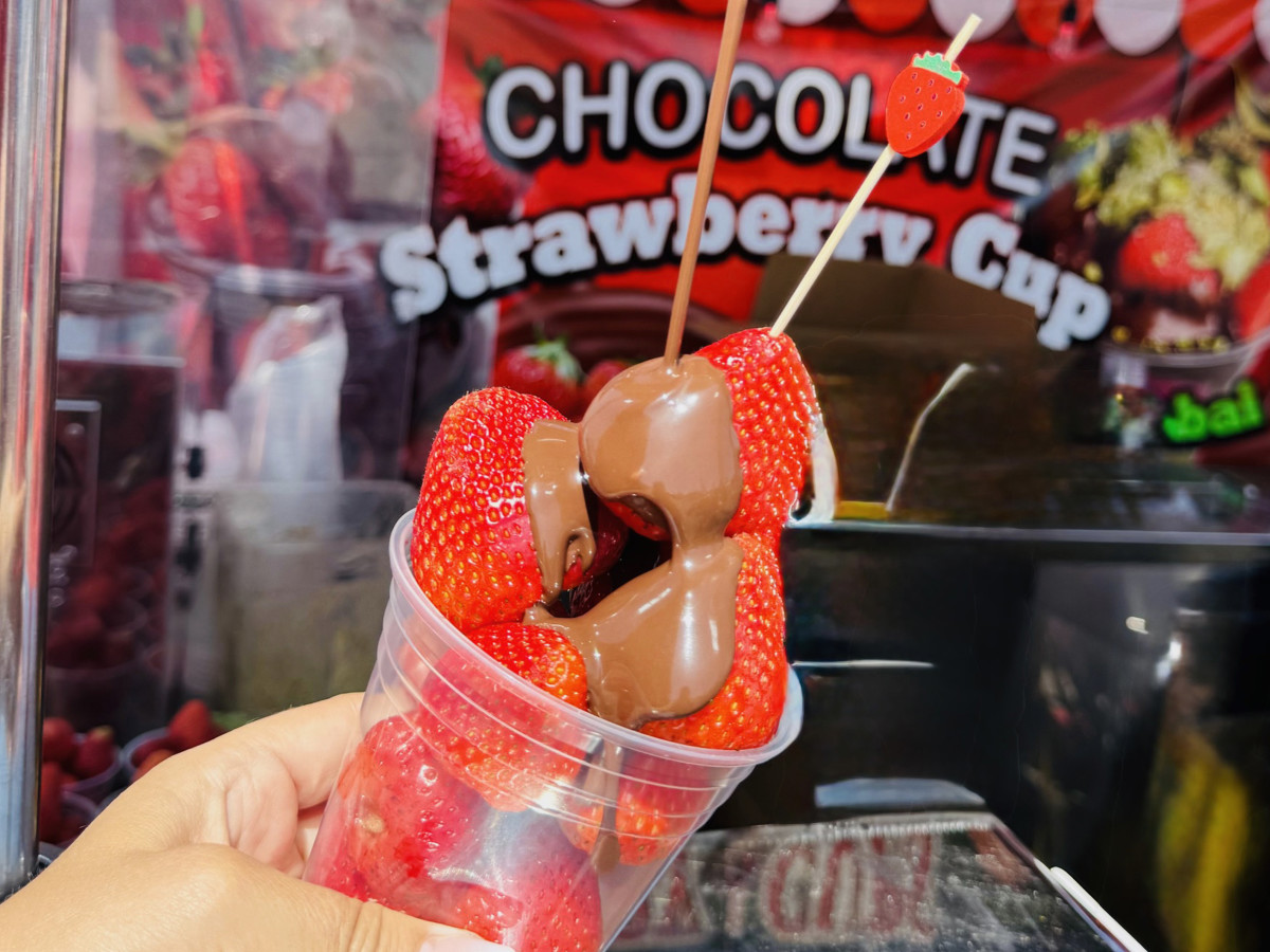 Chocolate Strawberry Cup