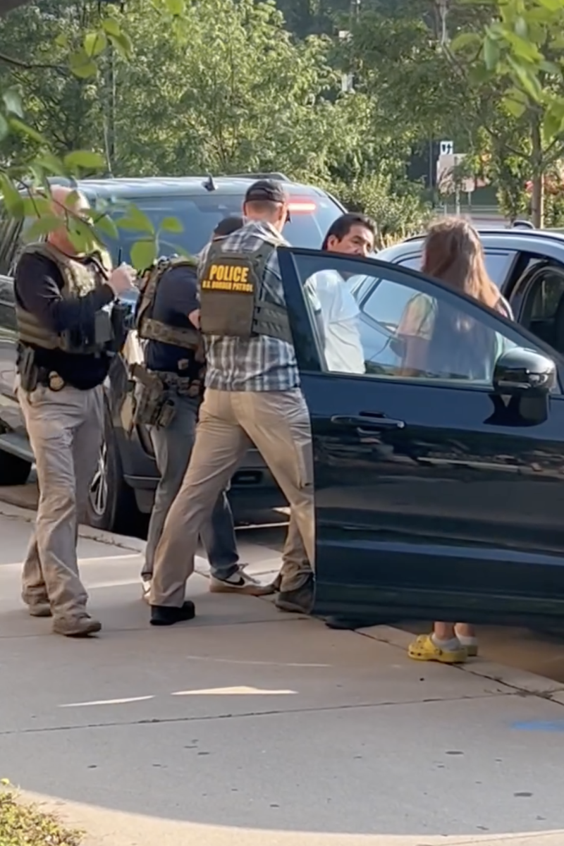 Video shows man being pulled from car by ICE, Border Patrol agents in ...