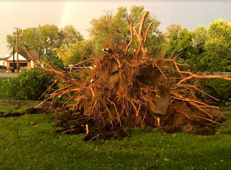 Gallery: Storms leave path of destruction across Minnesota - Bring Me ...