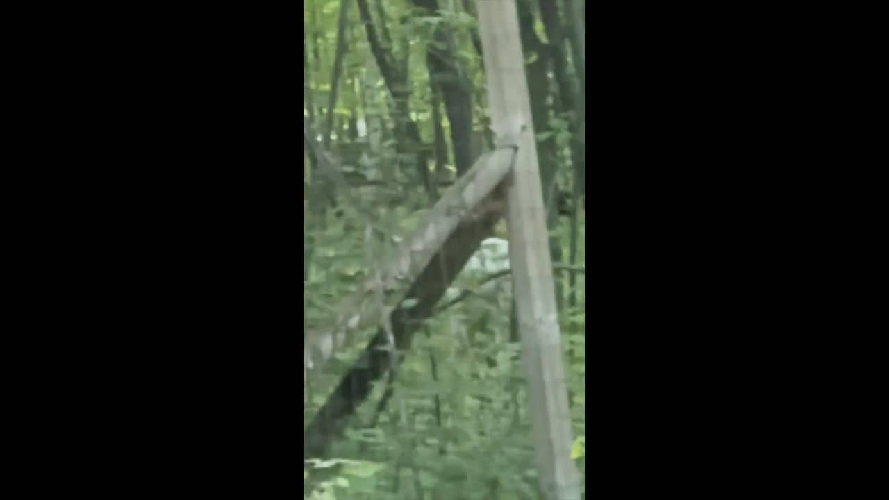 MN Videos - Bring Me The News