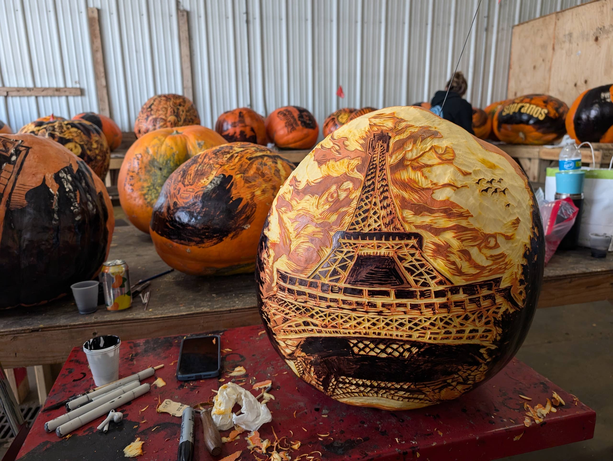 Thousands of pumpkins will hit the Minnesota Zoo as the Jack-O